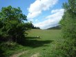 PROPERTY-OF-124-HECTARES-