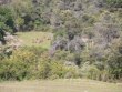 PROPERTY-OF-124-HECTARES-