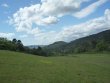 PROPERTY-OF-124-HECTARES-
