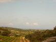 Joli-vignoble-en-AOP-Fitou-et-Muscat-de-Rivesaltes
