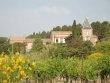 Vineyard-overlooking-the-Canal-du-Midi
