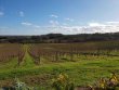 Vignoble-dune-vingtaine-dhectares-au-coeur-du-madiranais-AOC-Madiran-et-AOC-Pacherenc-du-Vic-Bilh