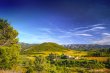 Beau-domaine-viticole-et-agro-touristique-de-236-ha-en-AOP-et-IGP
