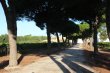 DOMAINE-AUX-PORTES-DE-PERPIGNAN-EN-AOP-ET-IGP