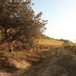 1-part-de-GFA-en-Hautes-Cotes-de-Nuits-