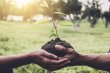 Financement-participatif-dans-les-vignobles-bordelais