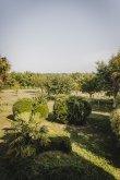 Propriete-viticole-de-42-ha-au-Sud-de-Bordeaux-rendements-eleves-et-diversification