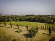 Propriete-viticole-de-42-ha-au-Sud-de-Bordeaux-rendements-eleves-et-diversification