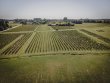 Propriete-viticole-de-17-ha-en-AOP-Graves--proximite-de-Bordeaux