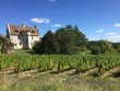 Une-tres-charmante-propriete-viticole-aux-portes-de-Bergerac