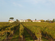 -Blayais--Superbe-propriete-viticole