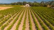 AUDE--Propriete-de-47-hectares-dont-15-ha-de-vignes-en-AOP-Malepere