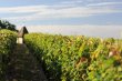 Rare-13-Hectares-AOC-Pomerol-