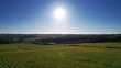 A-vendre-Propriete-viticole-de-36-ha-environ-pres-de-Bordeaux