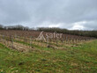 Propriete-viticole-de-15-ha-AOC-Cahors