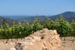 Domaine-Propriete-de-prestige