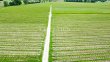 Propriete-viticole-de-28-ha-en-excellent-etat-avec-batiments-de-caractere