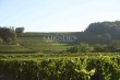 Propriete-viticole-8-ha-en-AOC-Castillon-Cotes-de-Bordeaux-Agriculture-Biologique