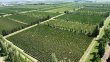 Domaine-viticole-en-cave-particuliere-a-reprendre-dans-lAude-a-Marseillette