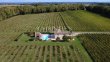 Maison-de-charme-avec-piscine-au-coeur-des-vignes