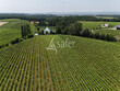 Domaine-viticole-Gaillac-35ha-vignes