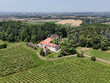 Domaine-viticole-Gaillac-35ha-vignes