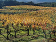 Propriete-viticole-AOP-Cotes-du-Rhone