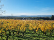 Propriete-viticole-AOP-Cotes-du-Rhone
