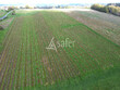 Propriete-viticole-sur-52ha-dont-16ha-de-vignes
