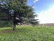 Domaine-viticole-au-coeur-de-lappellation-Fronsac-