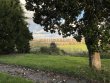 Domaine-viticole-au-coeur-de-lappellation-Fronsac-