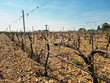 Vaste-structure-agricole-de-conditionnement-et-de-stockage-au-coeur-des-Costieres-de-Nimes