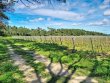 Domaine-viticole-dexception-au-coeur-du-Minervois