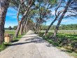 Domaine-viticole-dexception-au-coeur-du-Minervois