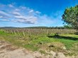 Domaine-viticole-dexception-au-coeur-du-Minervois