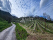 PARCELLES-DE-VIGNES-EN-AVEYRON