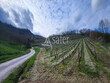 PARCELLES-DE-VIGNES-EN-AVEYRON