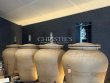 Propriete-viticole-a-taille-humaine-reseau-de-commercialisation-top-terroir