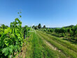 Propriete-AOC-BORDEAUX-avec-logement-et-chai-particulier