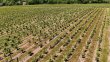 Domaine-viticole-dexception-a-vendre-AOC-Chateaumeillant-18-03-Vesdun-18360